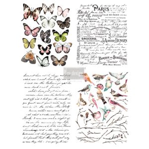 PARISIAN BUTTERFLIES
